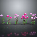 Neatly Arranged Pink And Purple Flowers With Green Stems Leaves On Gray Background With Reflections