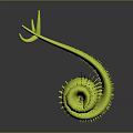 Vibrant Green Spiral Shaped Spiny Aquatic Animal With Curved Body Structure