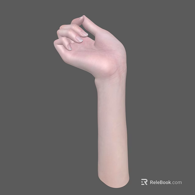 Anatomically Detailed Human Hand with Palm Up and Naturally Curved Fingers Against Gray Background 3d model 