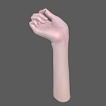 Anatomically Detailed Human Hand with Palm Up and Naturally Curved Fingers Against Gray Background