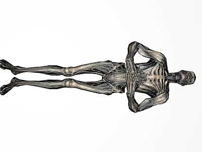 Game Movie Character With Skeletal Body And Long Limbs Sci Fi Design 3d model