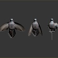 Modern Jay Birds 3d model