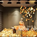 Modern Window Maple Window Display 3d model