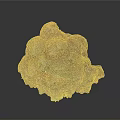 Brightly Colored Coral With Porous Textured Surface In Marine Aquatic Environment