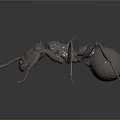 Metallic Ant Model with Detailed Legs Body Structure and Textured Surface on Dark Background