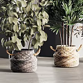 Modern Interior Decor With Various Potted Plants In Woven Baskets And Green Leaves