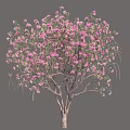 Lush Blooming Arbor With Vibrant Purple Flowers And Graceful Branches