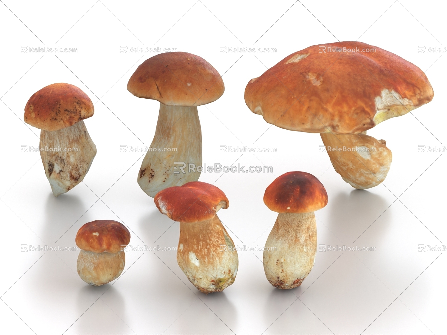 Dried Mushroom Mushroom Food 3d model