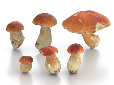 Fresh Edible Mushrooms Of Various Sizes With Orange Red Caps And White Speckled Stems 3d model