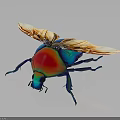 Colorful Iridescent Beetle with Shiny Metallic Exoskeleton and Transparent Wings on Dark Reflective Background