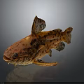 Orange Spotted Fish with Large Head and Unique Fins on Dark Background with Reflective Surface