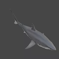 Realistic 3D Shark Model With Sharp Teeth And Detailed Gray Body 3d model