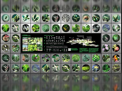 Green Plant Pattern Background Wall With Various Leaf Designs And Central Display Board 3d model