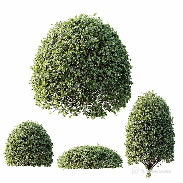 Decorative Ornament Set Featuring Green Spherical Shrubs In Three Sizes 3d model
