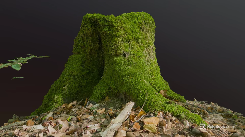 Natural Wood Stump With Moss And Stone Surrounded By Fallen Leaves In Forest 3d model 