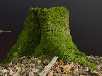 Natural Wood Stump With Moss And Stone Surrounded By Fallen Leaves In Forest 3d model