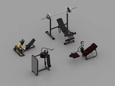 Various Types of Sports Equipment Including Barbell Bench Press Leg Curl and Abdominal Trainer 3d model