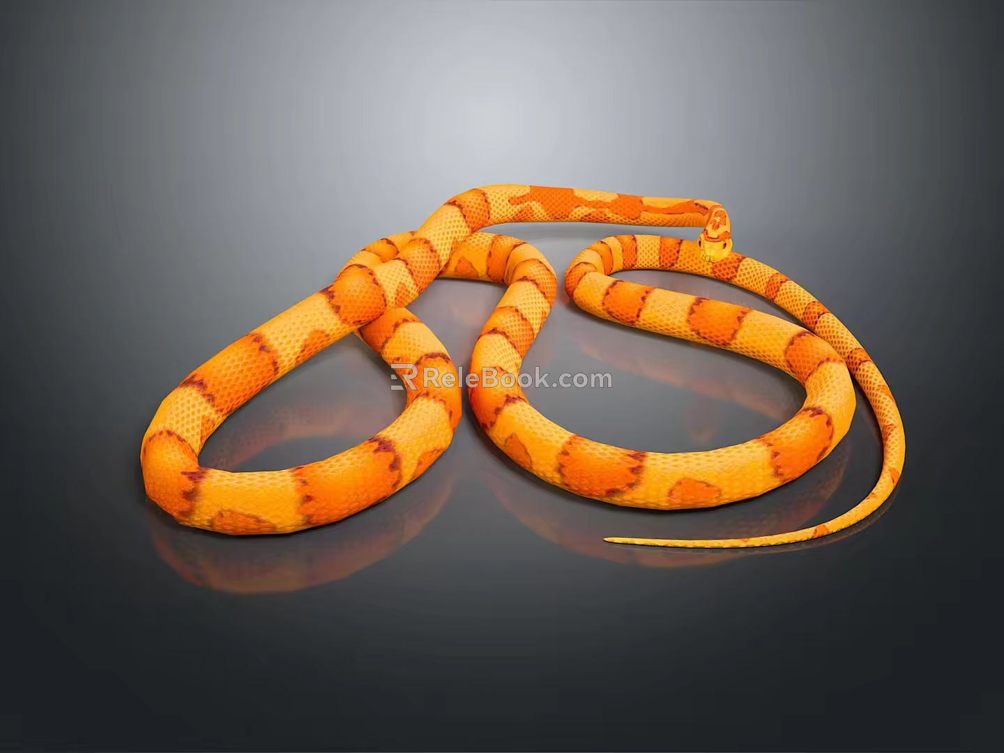 snake cobra venomous snake python reptile cold-blooded animal reptile 3d model