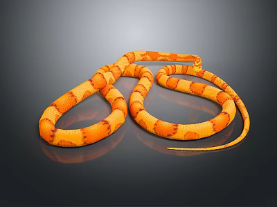 Orange And Yellow Coiled Snake With Distinct Patterns On Dark Background 3d model