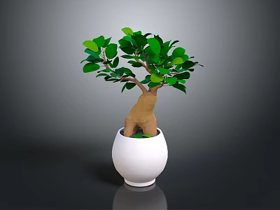 Indoor Decorative Plant with Lush Green Leaves in White Ceramic Pot for Home Decoration 3d model
