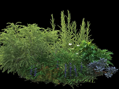 Various Types Of Garden Shrubs With Lush Green Foliage Different Textures And Landscaping Design 3d model