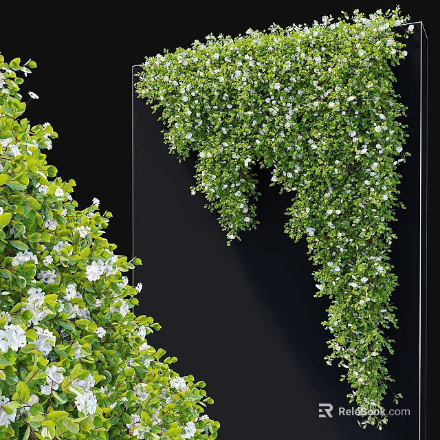 Lush Green Vines With White Small Flowers Hanging On Black Background 3d model 
