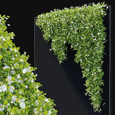Lush Green Vines With White Small Flowers Hanging On Black Background 3d model
