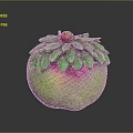 Green And Pink Gradient Decorative Fruit With Lush Green Leafy Top And Red Accent