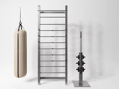 Home Gym Sports Equipment Including Punching Bag Metal Ladder Rack And Barbell With Weights 3d model