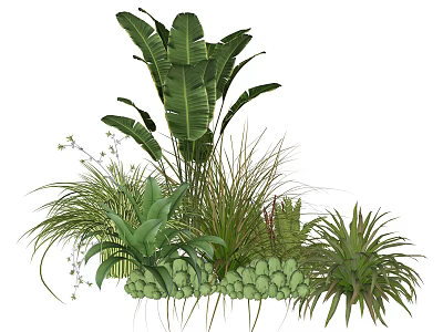 Tropical Mixed Plant Combination With Large Foliage Grasses Succulents And Small White Flowers 3d model