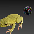 Green Frog With Extended Legs and Colorful Rubik's Cube in Gray Setting