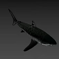 Realistic Shark Game Movie Character with Sharp Teeth and Streamlined Body