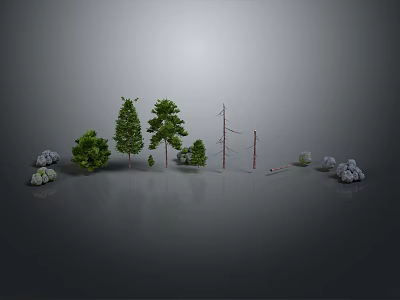 Natural Landscape Scene Components With Various Green Trees Dry Trunks And Decorative Rocks 3d model