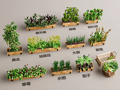 Modern Flower Box Crops Potted Rape Flower Strawberry Tomato Welsh Onion Pepper Cucumber Rice Sorghum Eggplant 3d model