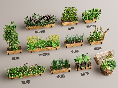 Modern Flower Box Crops Potted Rape Flower Strawberry Tomato Welsh Onion Pepper Cucumber Rice Sorghum Eggplant 3d model