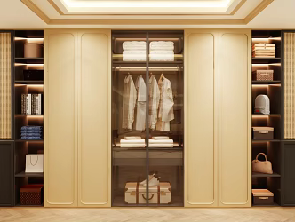 Wardrobe Design Wardrobe Effect Diagram Wardrobe Coat Cabinet Design Coat Cabinet 3d model