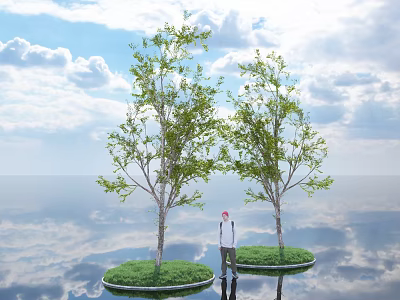 Two Leafy Trees Person Standing Between Under Blue Sky Clouds And Water Reflection 3d model