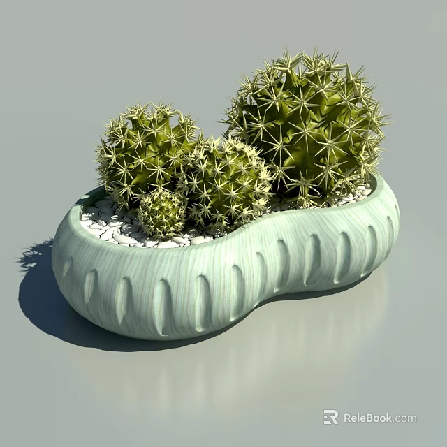 Bonsai Cactus In Light Green Wavy Textured Pot With Three Small Cacti And White Pebbles 3d model 