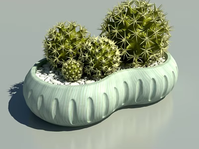 Bonsai Cactus In Light Green Wavy Textured Pot With Three Small Cacti And White Pebbles 3d model