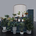 Blue Multi Tiered Curved Design Commercial Display Stand With Flowers Bouquets Vases And Blooming Sign
