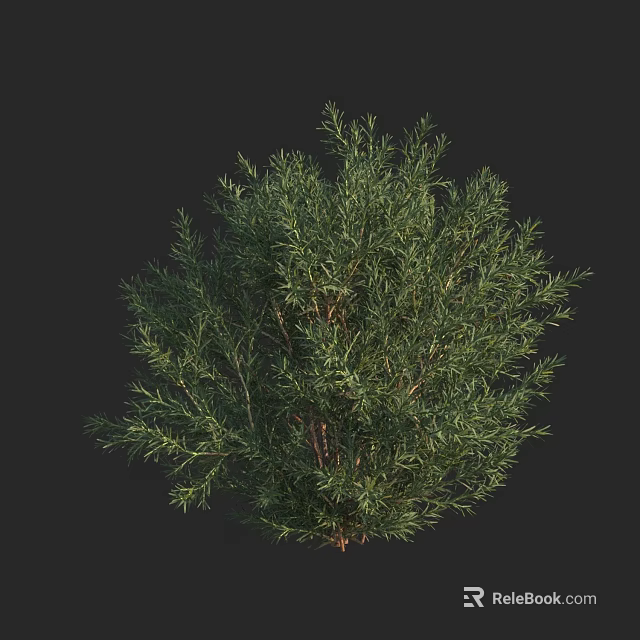 Lush Green Arbor With Dense Foliage And Natural Growth Structure 3d model