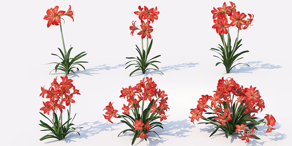 Bright Red Flowers With Green Leaves On Multiple Decorative Plants 3d model 