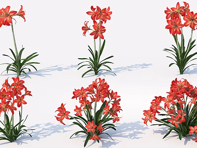 Bright Red Flowers With Green Leaves On Multiple Decorative Plants 3d model