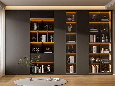 Modern Bookcase Interior Design With Decorative Shelves Ornaments Round Rug And Plants 3d model
