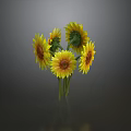 Fresh Yellow Sunflower Bouquet With Vibrant Blooms And Green Stems