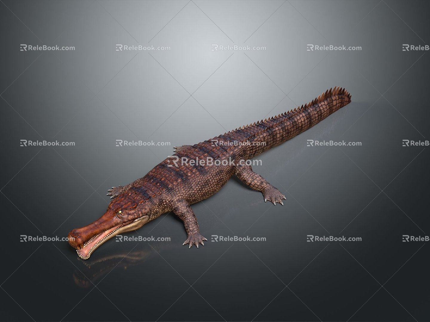 Crocodile Alligator Nile Crocodile carnivore reptile cold-blooded animal reptile reptile 3d model