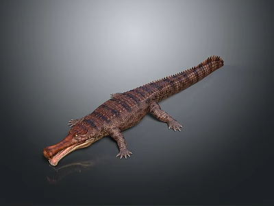 Brown Crocodile Reptile With Scaly Skin Lying On Gray Gradient Surface 3d model