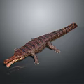 Crocodile Alligator Nile Crocodile carnivore reptile cold-blooded animal reptile 3d model
