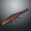 Crocodile Alligator Nile Crocodile carnivore reptile cold-blooded animal reptile reptile 3d model