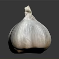 Fresh Whole Garlic Vegetable Bulb with Natural Layers on Dark Gray Background